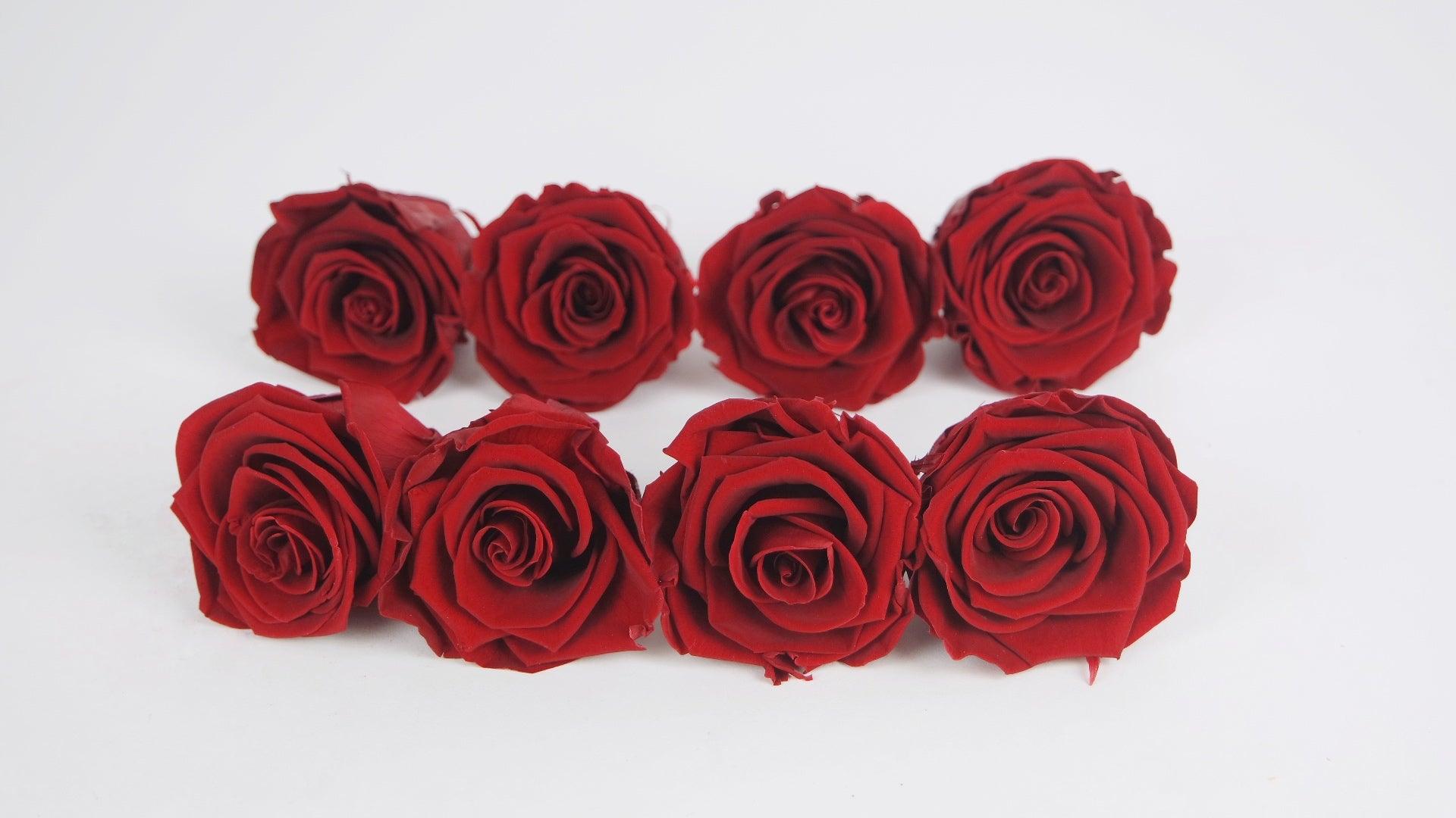Kiara Roses preserved red at wholesale prices - Si-nature