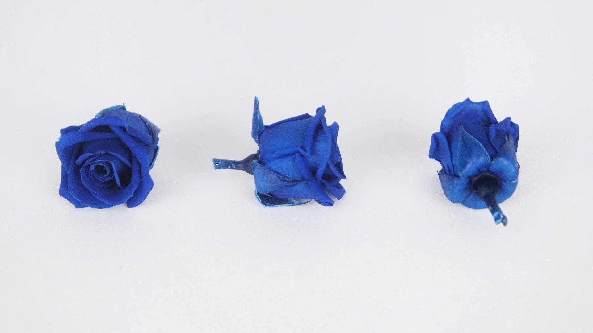 Rosas preservadas Kiara 2 cm - 12 piezas - Azul océano – Si-nature