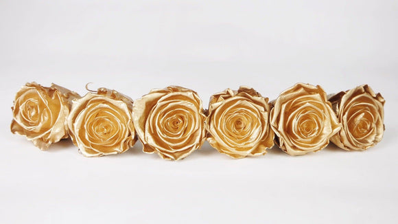 Preserved roses Kiara Splendid Gold - Si-nature
