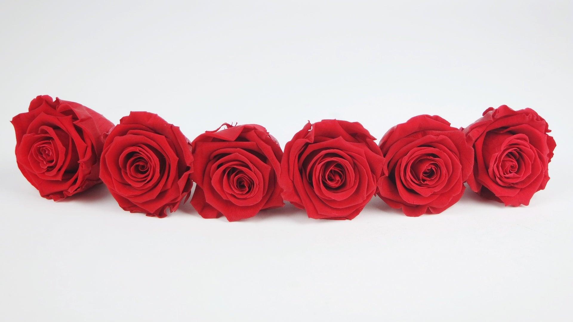 Rosas Kiara preservadas rojo vibrante baratas - Si-nature al por mayor