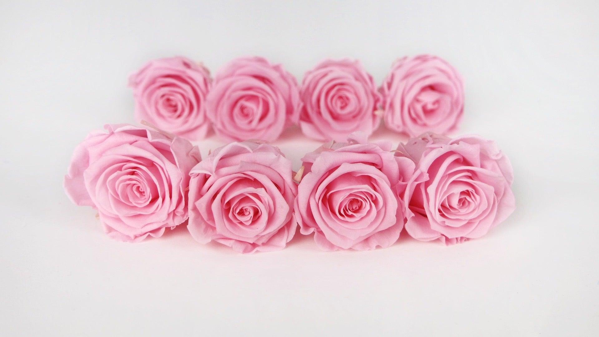 Rosas preservadas Kiara 5 cm - 8 piezas - Rosa novia – Si-nature