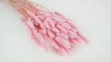 Bunny Tail Grass - 1 bunch - Light pink
