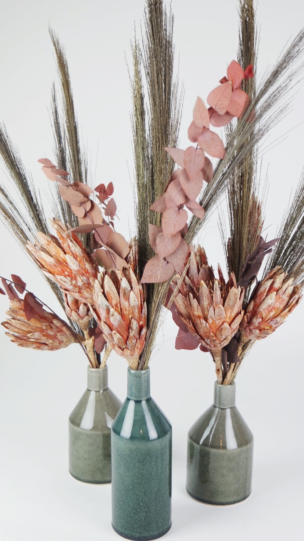 Protea repens | Fleurs séchées exotiques | Amber | Si-nature