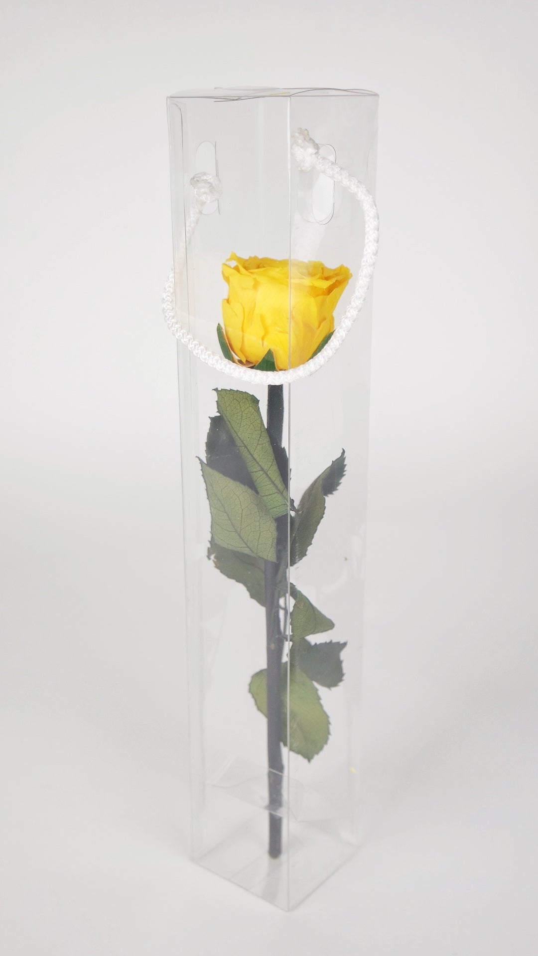 Acheter en ligne Rose préservée sur Tige Rose - Grossiste Rose préservées –  Si-nature