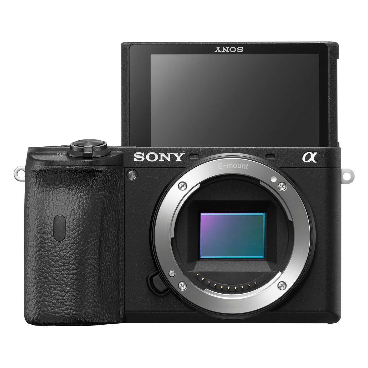 ソニーa6600 ボディ SONY コハル様-