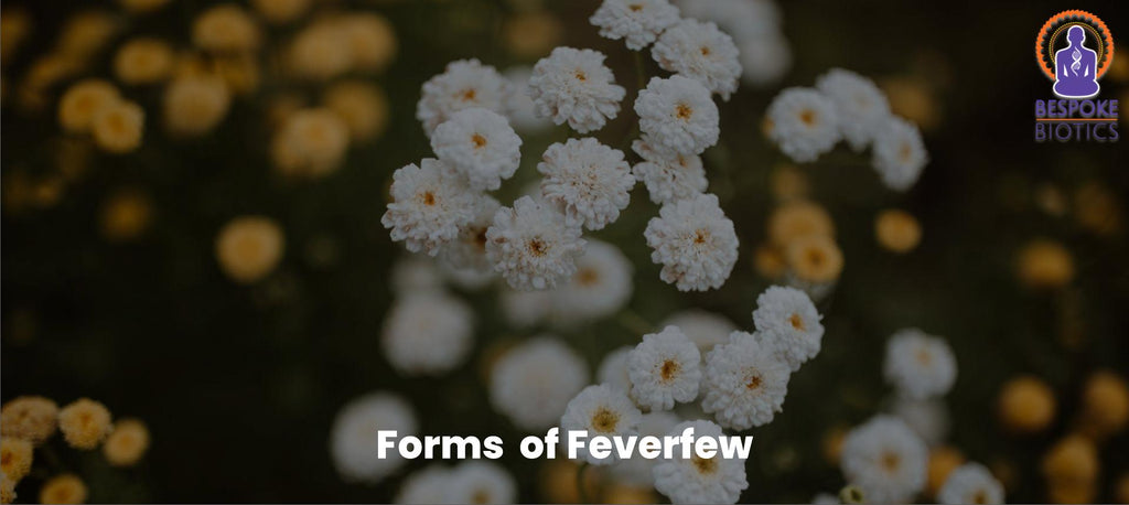 Forms of Feverfew