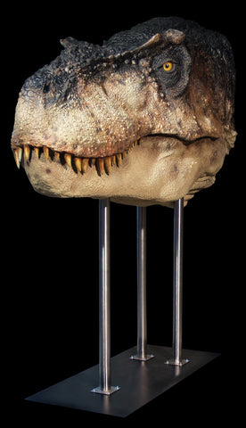 Dinosaurs: T-REX (closed jaw) - Life-size Collectible Statue