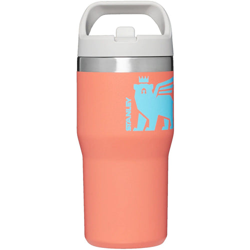 Stanley The IceFlow Flip Straw 22oz. Water Bottle Polar