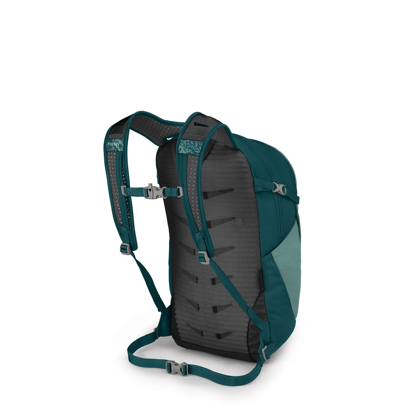 osprey daylite plus vs daylite