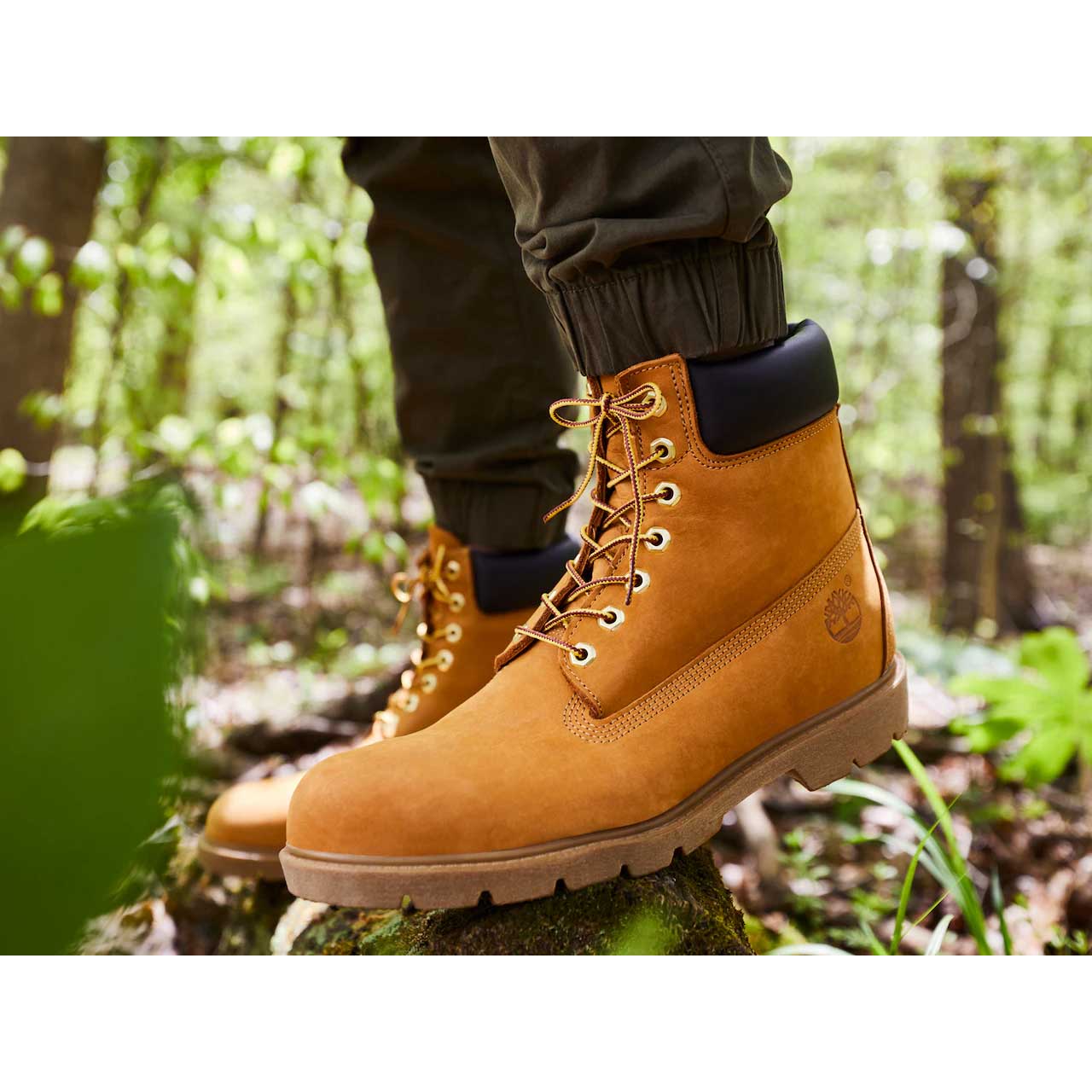 Timberland Men's 6-Inch Waterproof Boots – Campmor