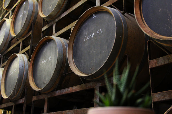 oak barrels full of loop wild ale at Yonder Brewing