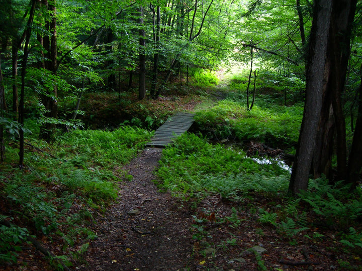 John P Saylor Trail Hiking The Main Loop Pahikes