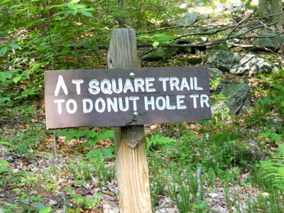 Donut Hole Trail: The Tee-Square and Donut Hole Trail – PAHikes