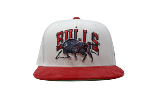 Buy the Chicago Bulls BMO Snapback Hat Gap Artist Series Chuck