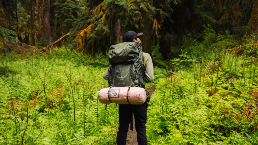 Backpack storage  Backpack storage, Outdoor gear storage, Adventure room