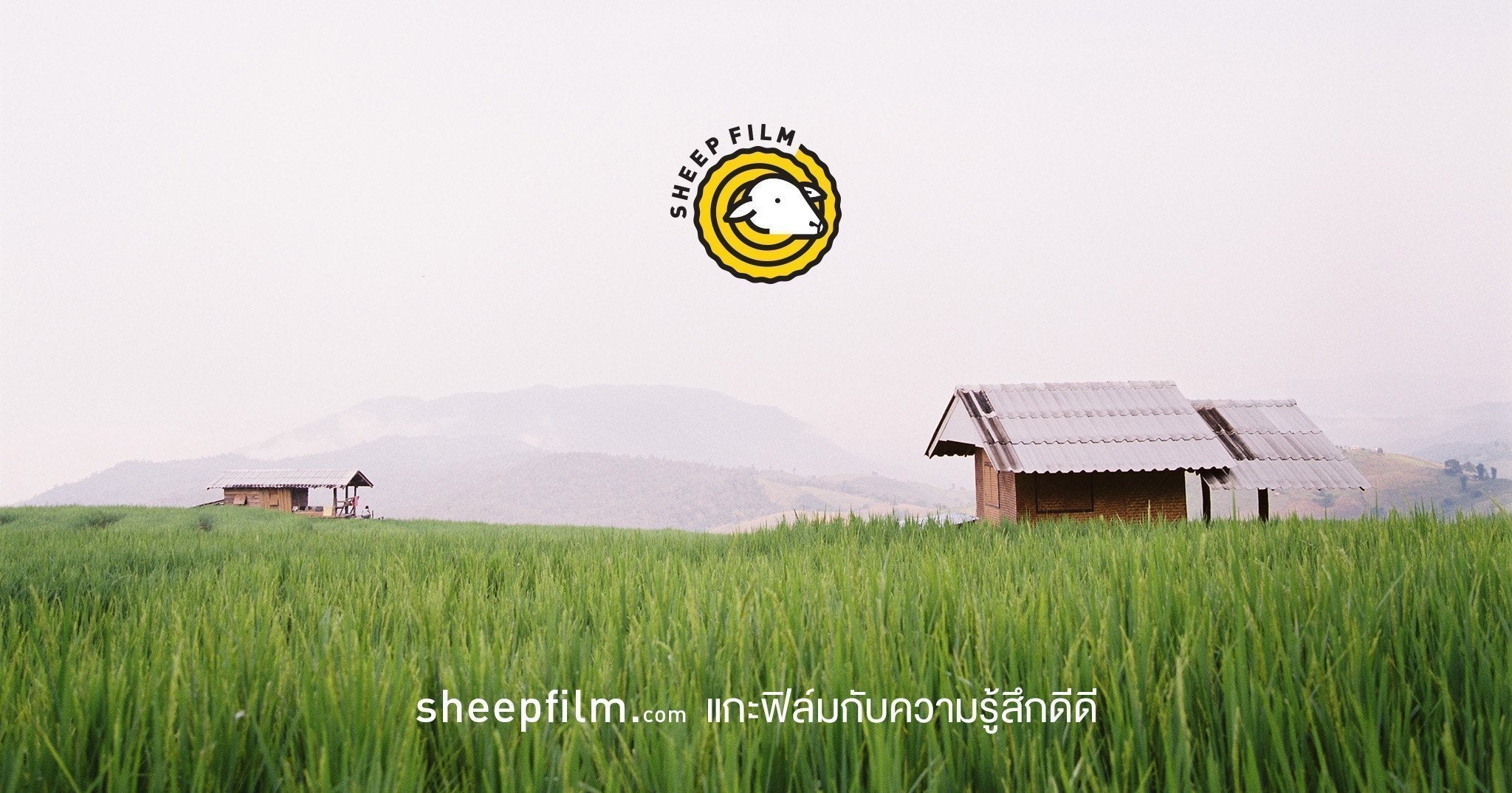 Sheep Film