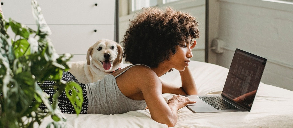 Person using a laptop on a bed beside a dog.