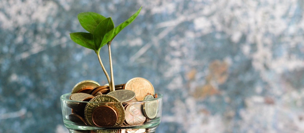 A small plant growing out of a glass filled with coins.