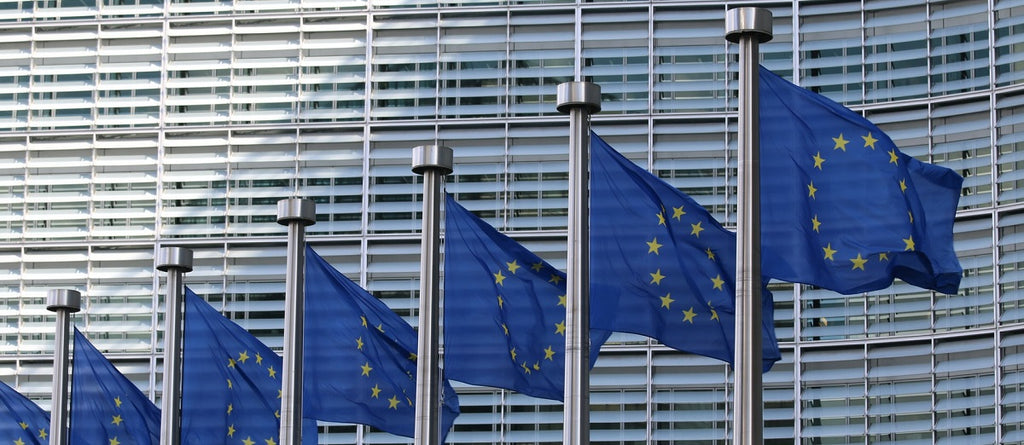 A row of European Union flags outside a building.