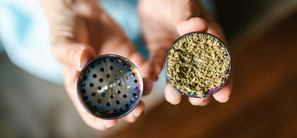Two hands holding an open cannabis grinder, one half is filled with ground weed.