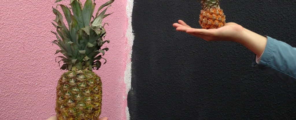 Two hands holding and comparing a large and small pineapple.