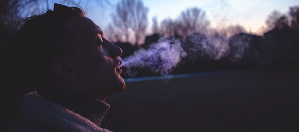 Person smoking a joint in a park.