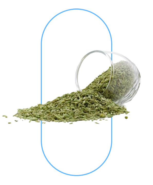 Fennel Seed