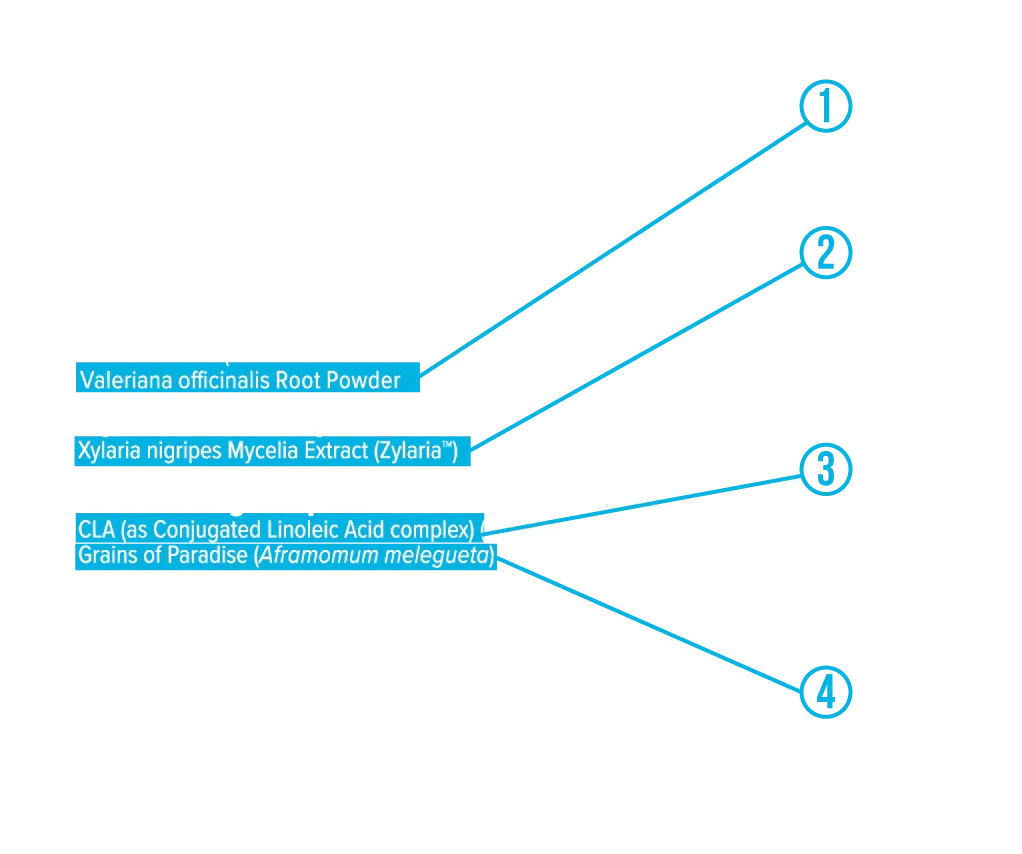 Supplement Facts