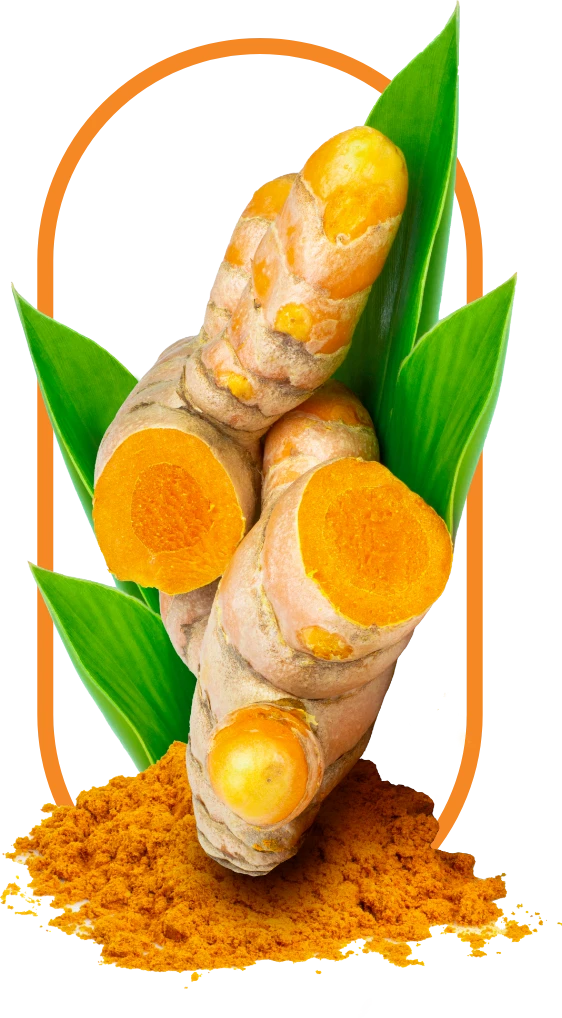 Turmeric