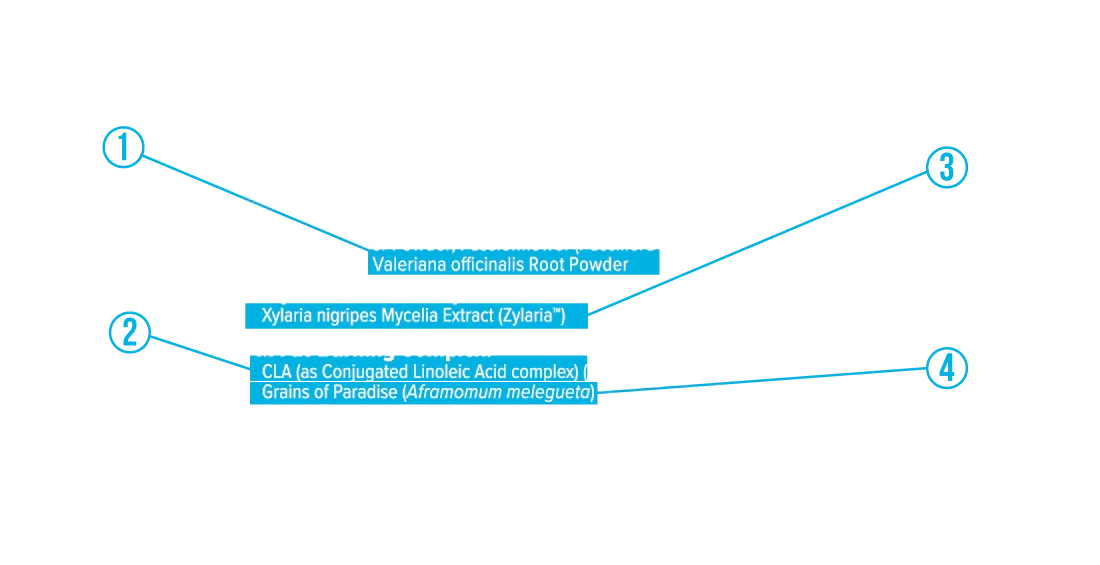 Supplement Facts