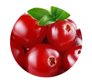 cranberry