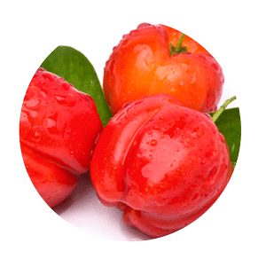 acerola cherry