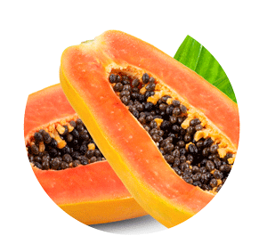 papAYA