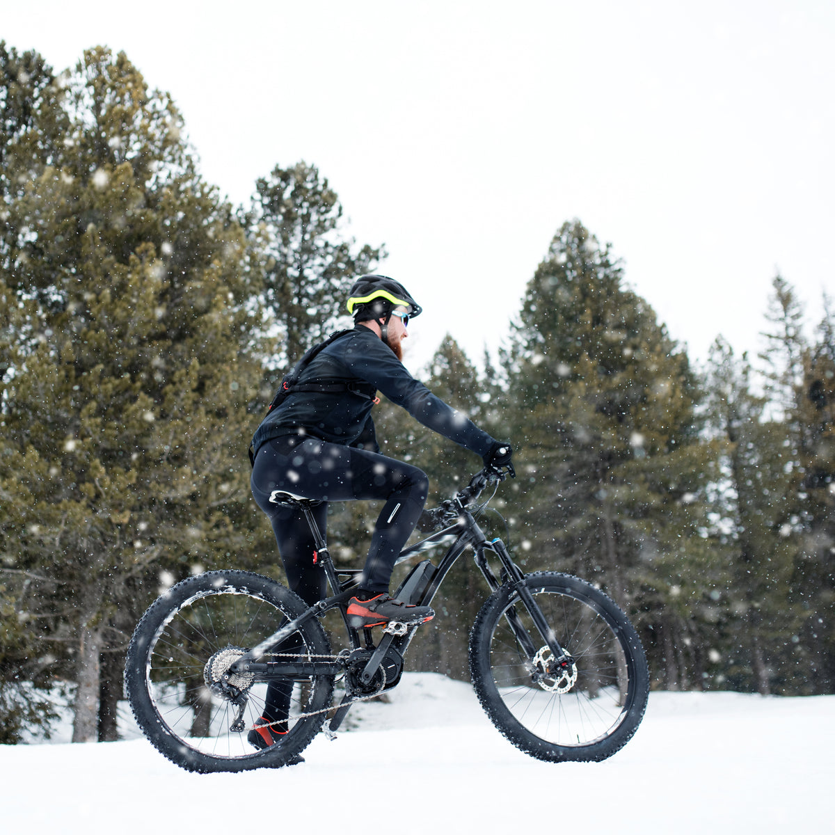 winter bike frame