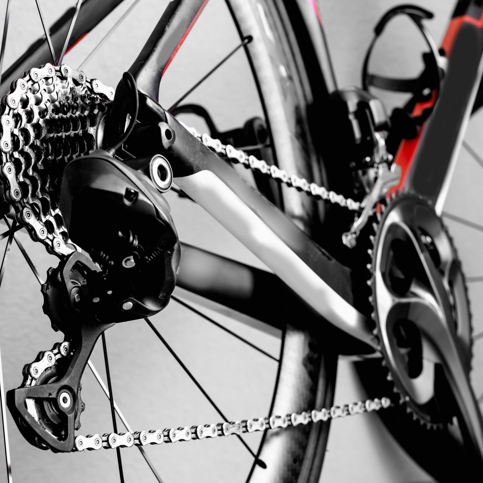 gear cogs on bike