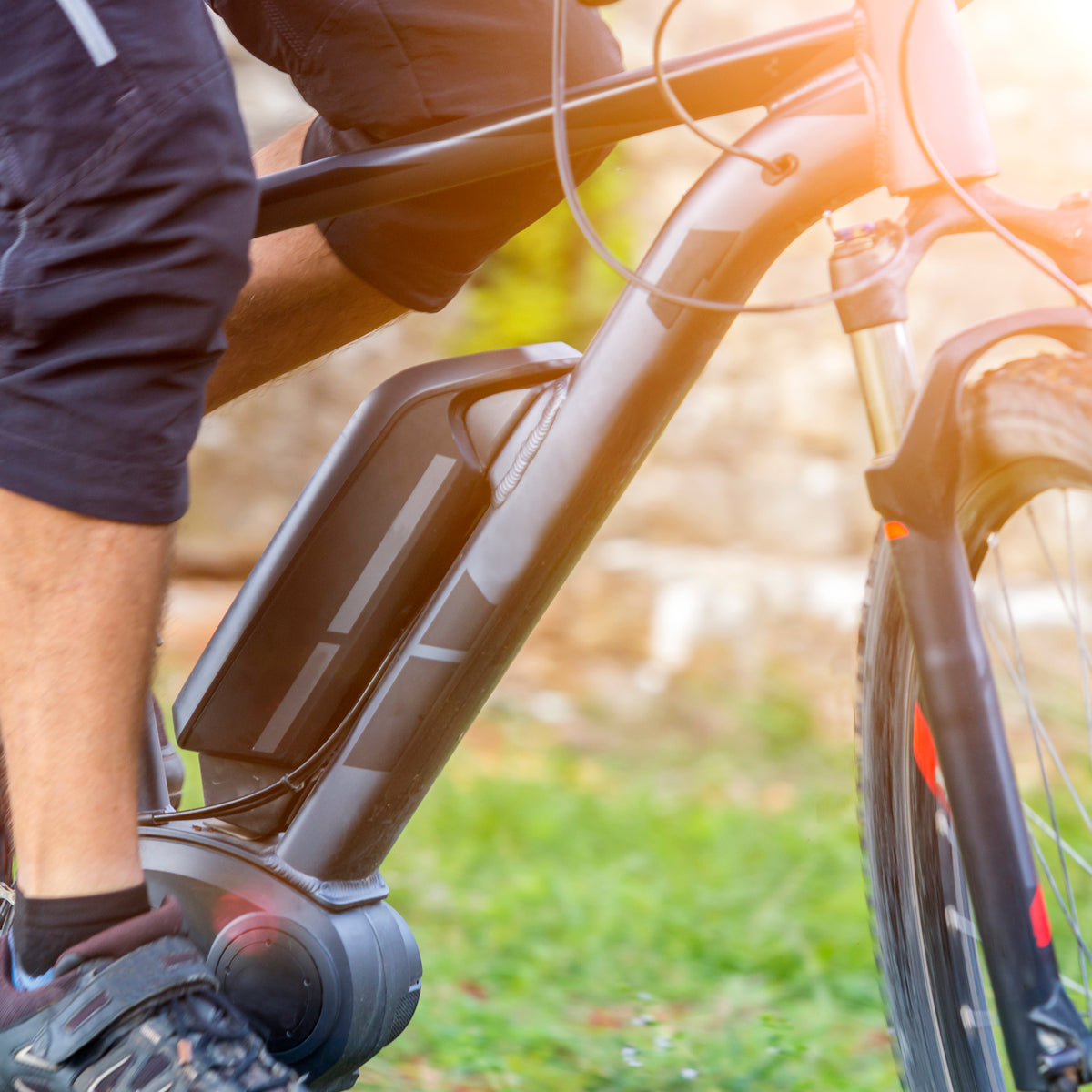 ebike with throttle and pedal assist