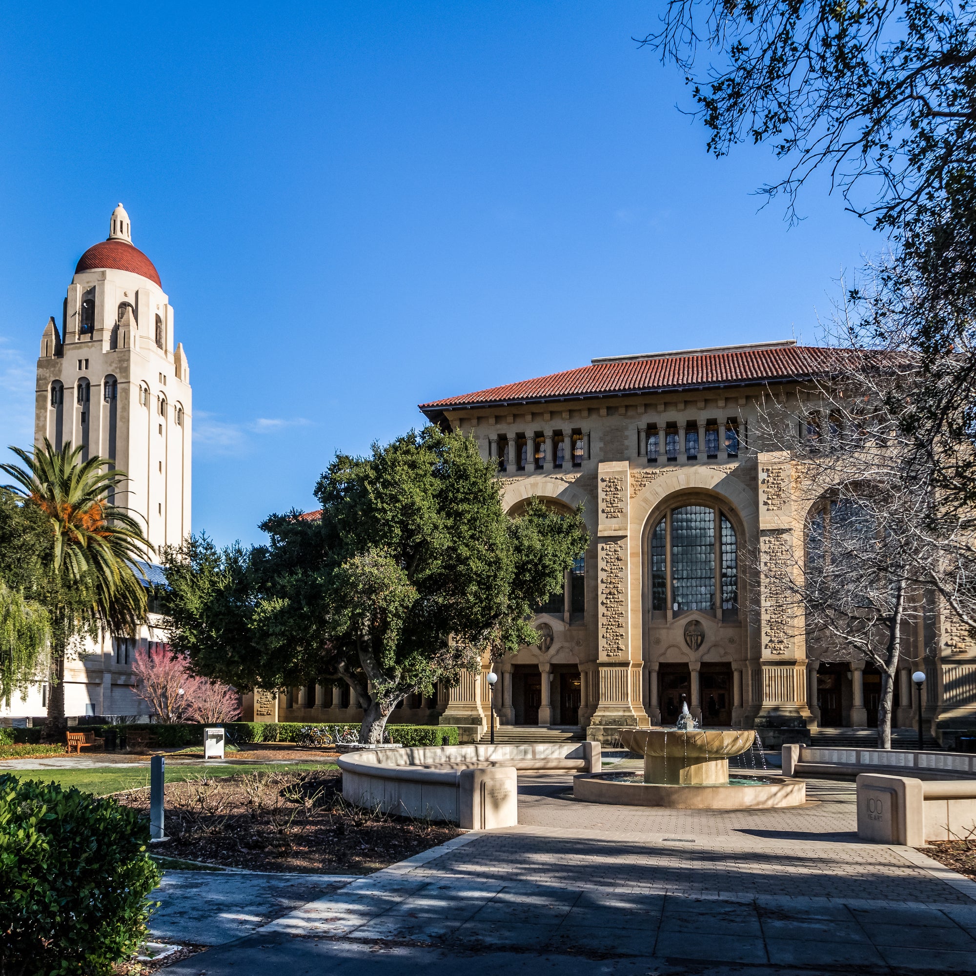 stanford bike sale