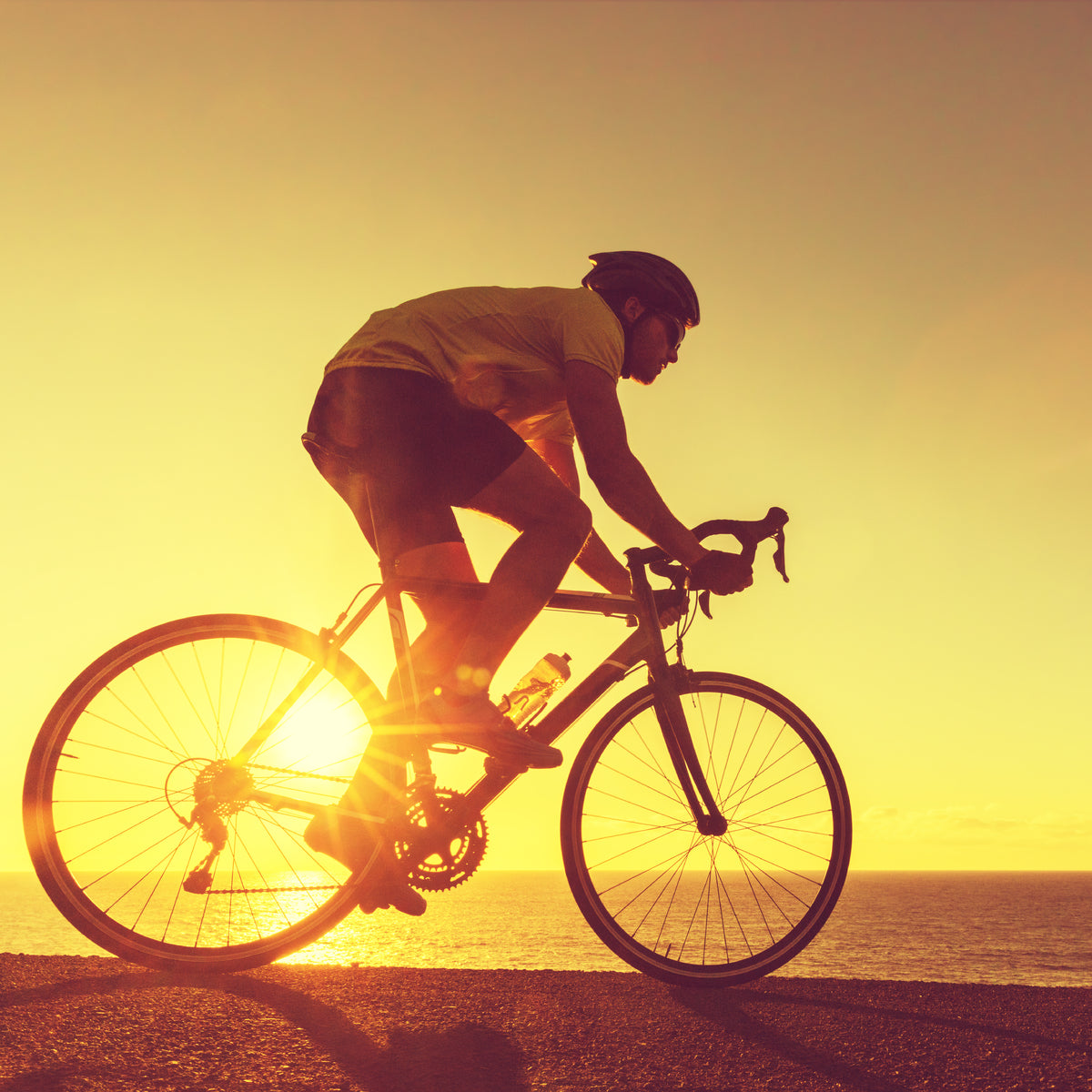 summer cycling