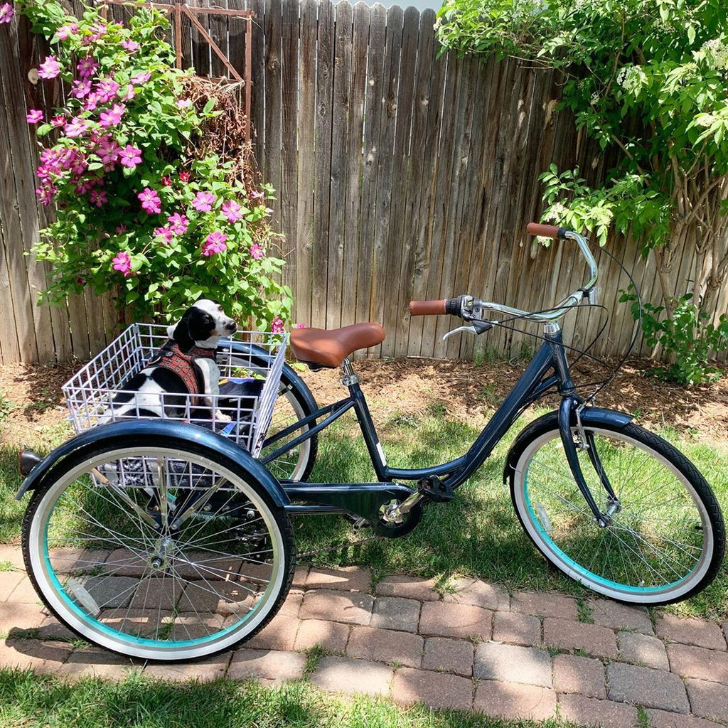 electric tricycles near me