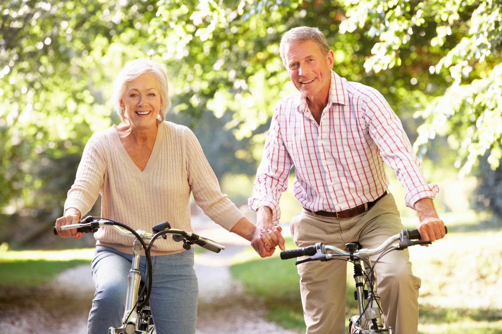 comfort bicycles for seniors