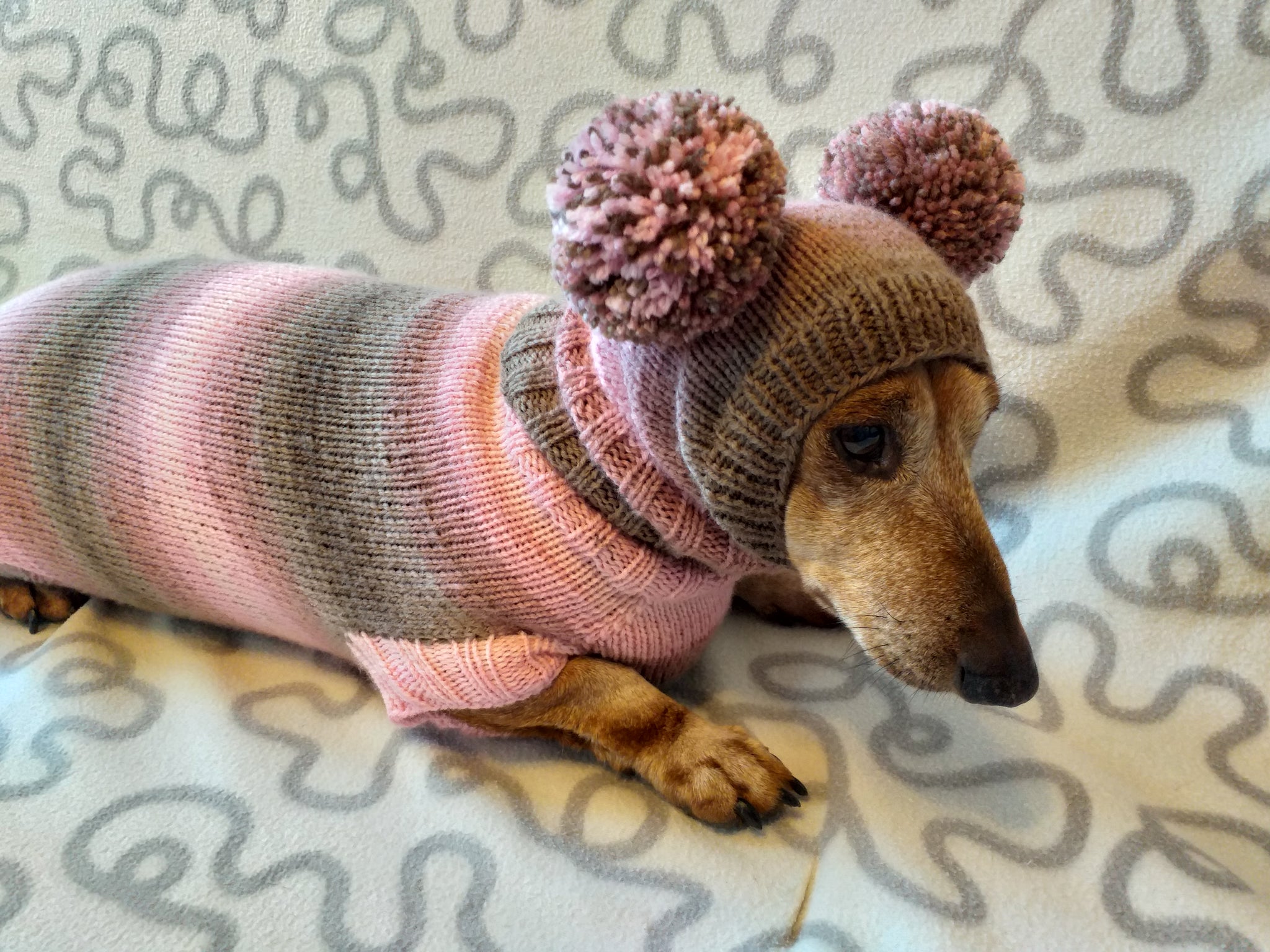doxie sweater