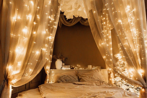 bed with canopy and string lights