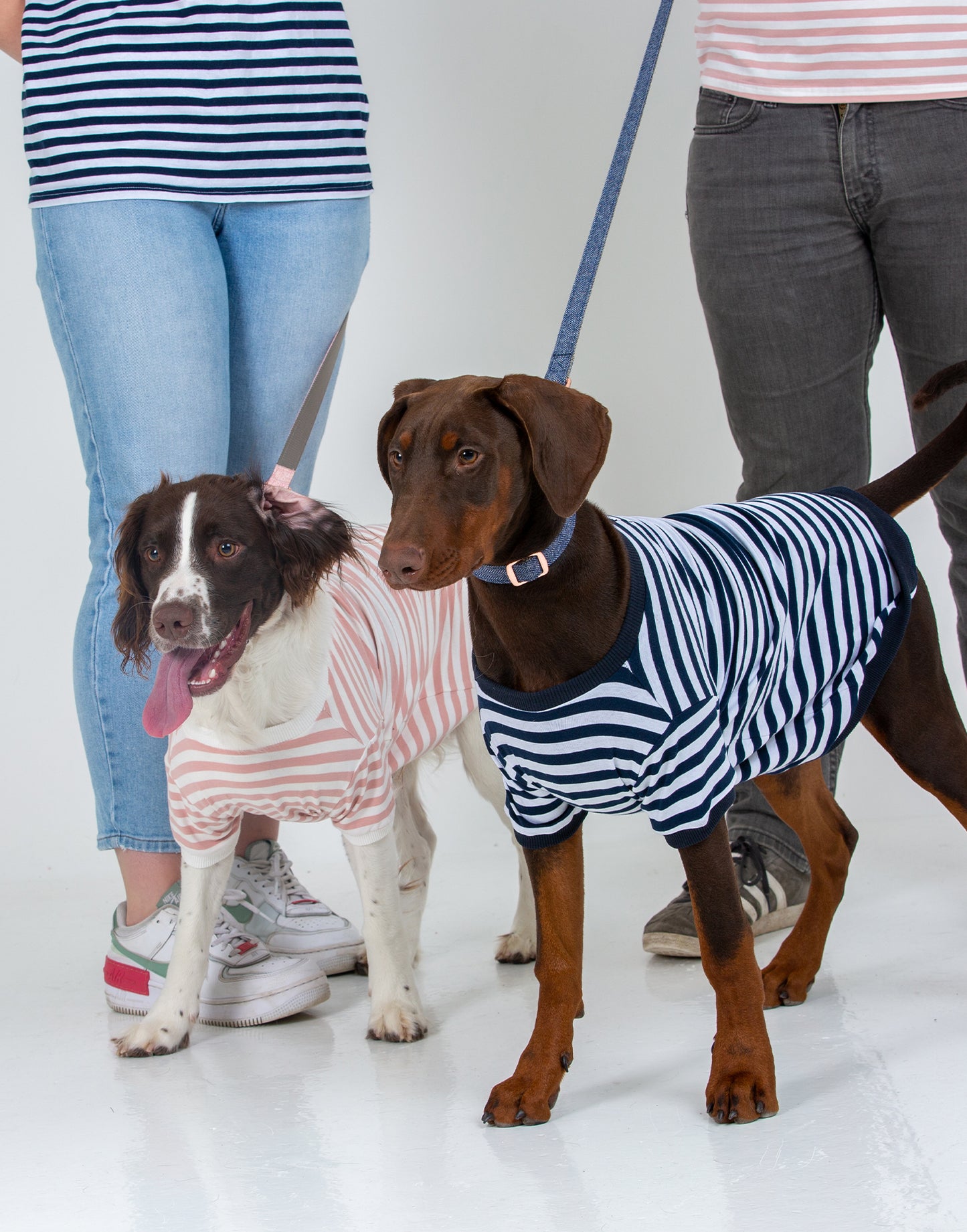 Frankie & Dottie's | Wear | Dog Clothing – Frankie & Dottie’s