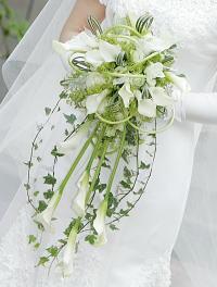 lily bridal