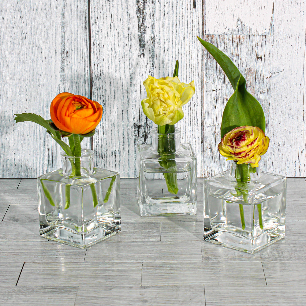 Richland Glass Bud Vase Clear Square Set of 72 - Save-On-Crafts