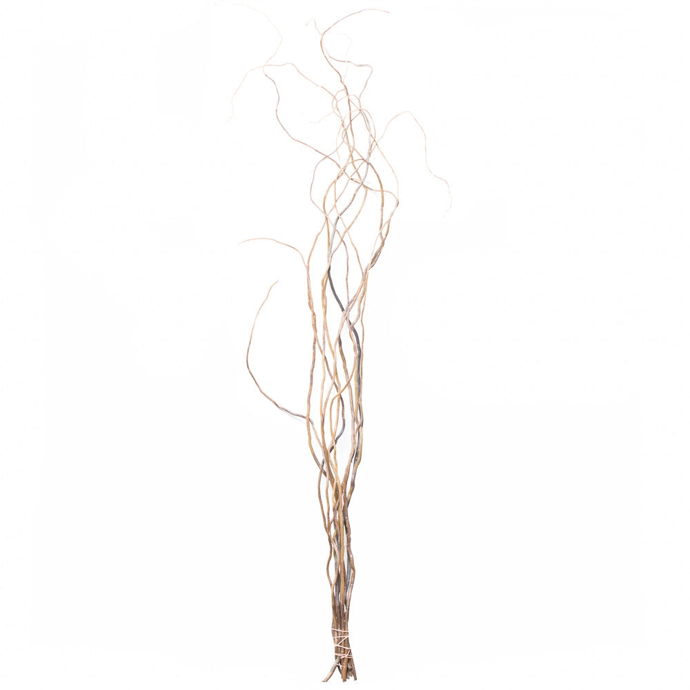 Artificial Pussy Willow Branches 31in (Set of 12) - Save-On-Crafts