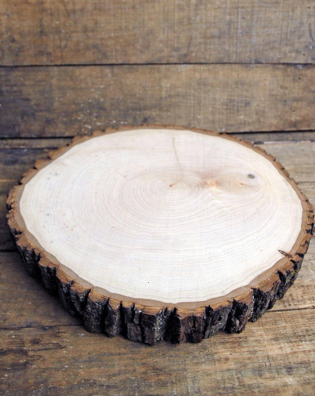 Premium Kiln Dried Wood Slices, Wholesale, Stumps, & Slabs