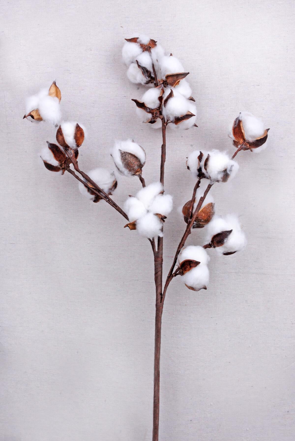 Cotton Decor - Save-On-Crafts
