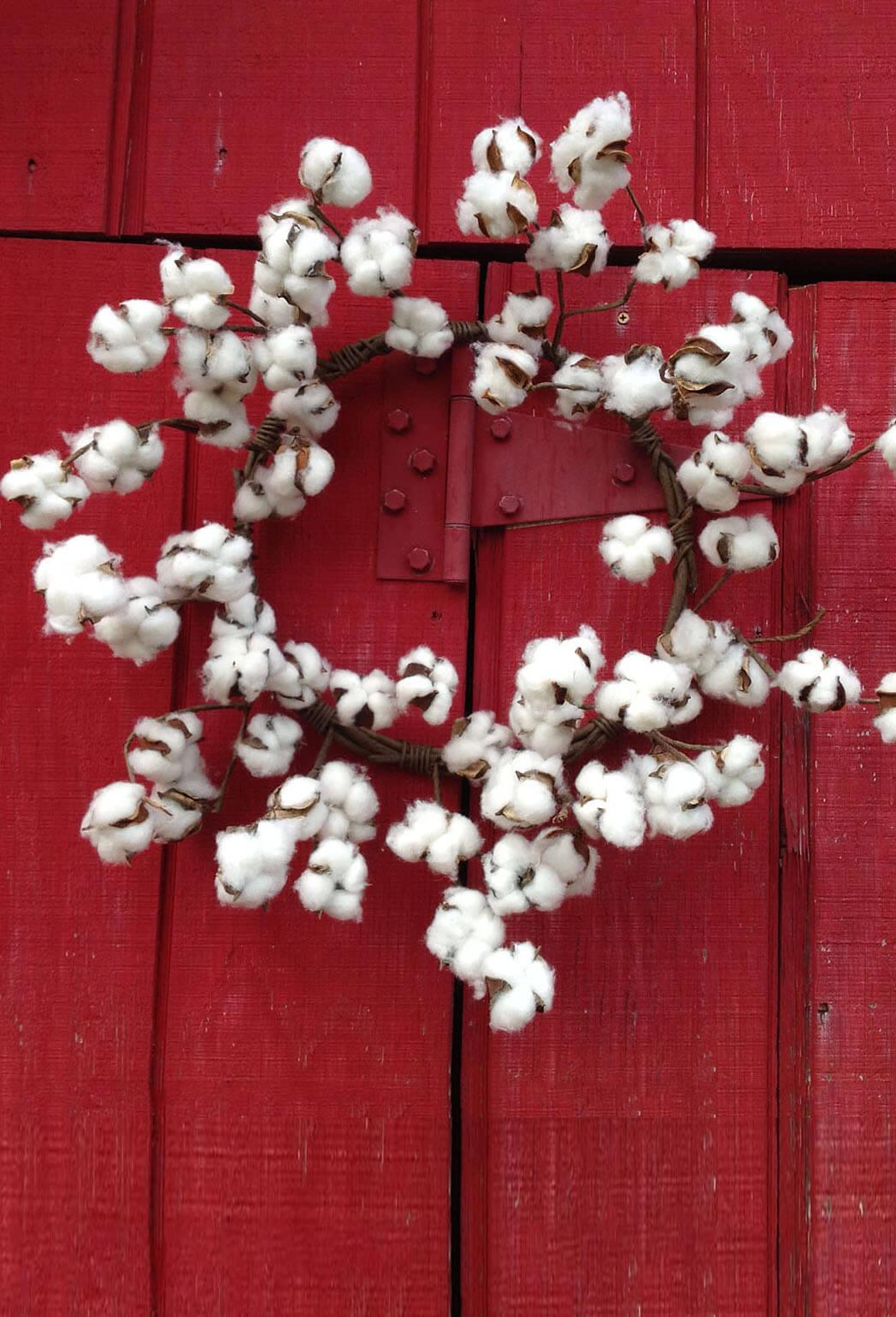 Cotton Bolls