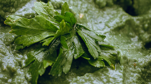 Algi spirulina hummus